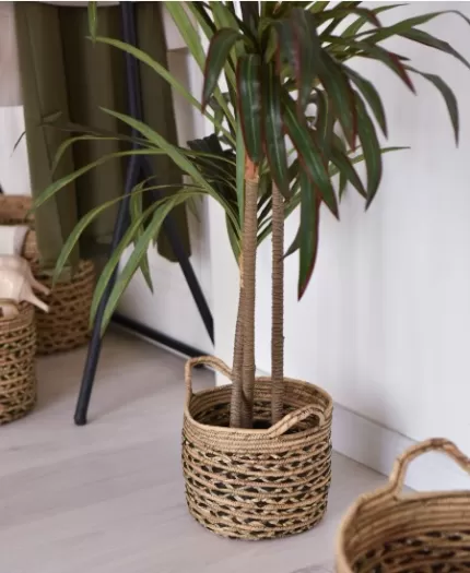 Decorative Plant Pot